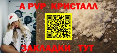 хмурый Новозыбков